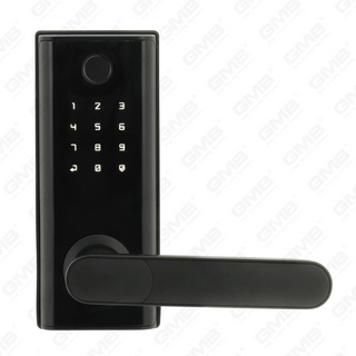 American Standard wasserdichte Keyless -Eintrag Tuya/TT Wireless digitales Passwort Fingerabdruck MF -Karten -Smart Door Lock (A014)