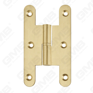 Hochwertige Tür-Hardware-Messing-Türscharnier [HG-1049]