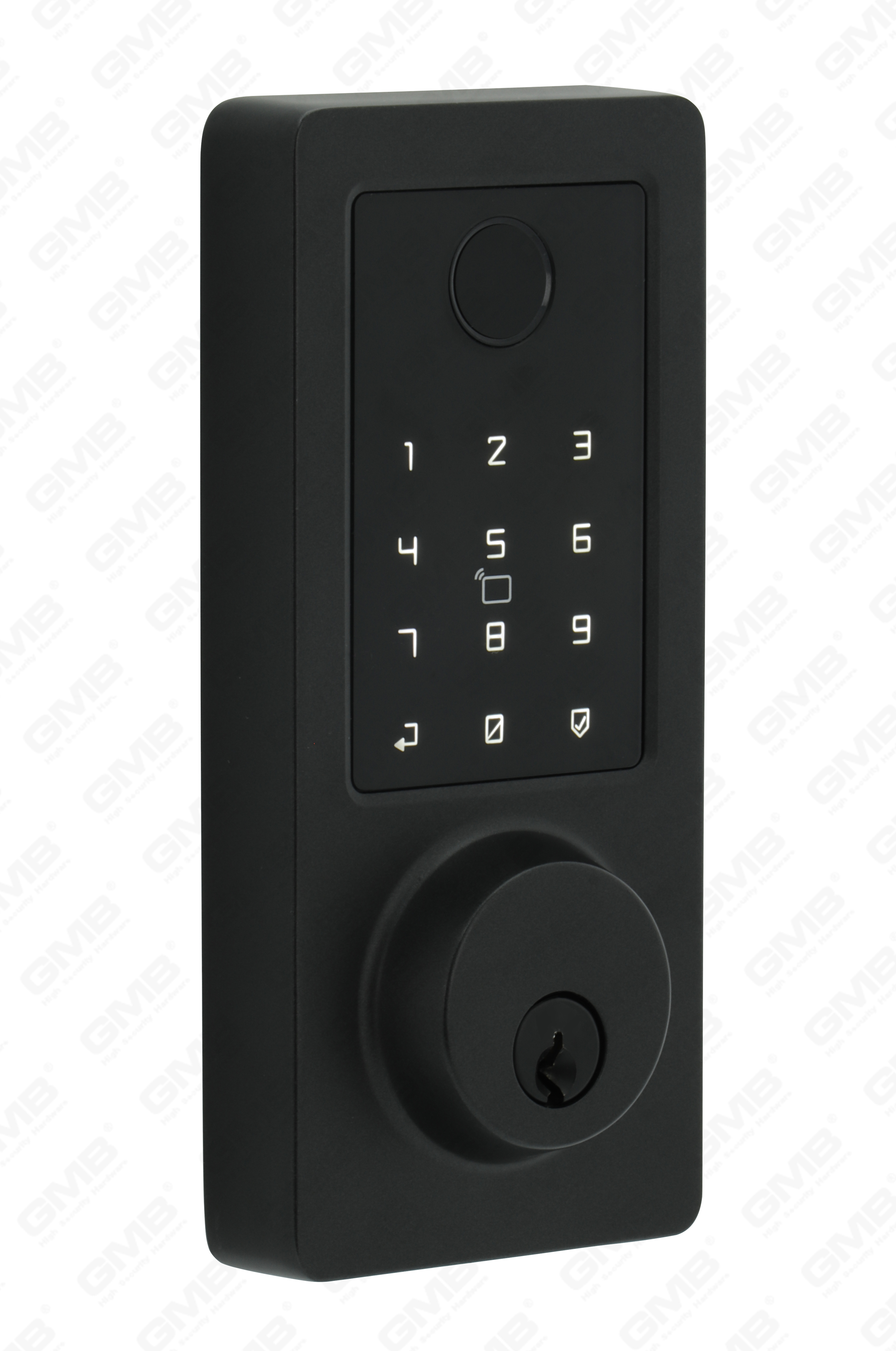 American Standard wasserdichte Keyless -Eintrag Tuya/TT Wireless digitales Passwort Fingerabdruck MF -Karte Smart Door Lock (A015)