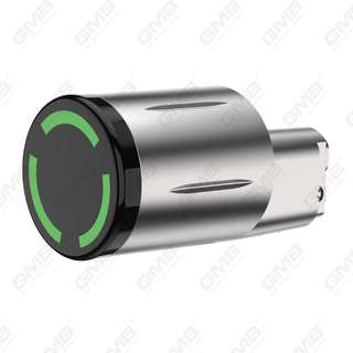 Hohe Sicherheit mit mehreren Auflockern von IP65 Keyless WiFi Digital einstellbares modulares modulares Profil Smart Electronic Door Lock Zylinder （5A09）