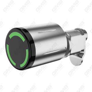 Hohe Sicherheit mit mehreren Auflockern von IP65 Keyless WiFi Digital einstellbares modulares modulares Profil Smart Electronic Door Lock Zylinder （5A08）
