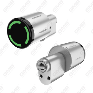 Biometrischer Smart NFC -Kartenkennwort -Sperrzylinder elektronischer Zylinder (3A03)