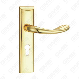 Türgriff Ziehen Sie Holztür Hardware-Griff Schloss Türgriff auf Teller für Locksserie durch Zinklegierung oder Stahltürplattengriff (TM4006666-GPB)