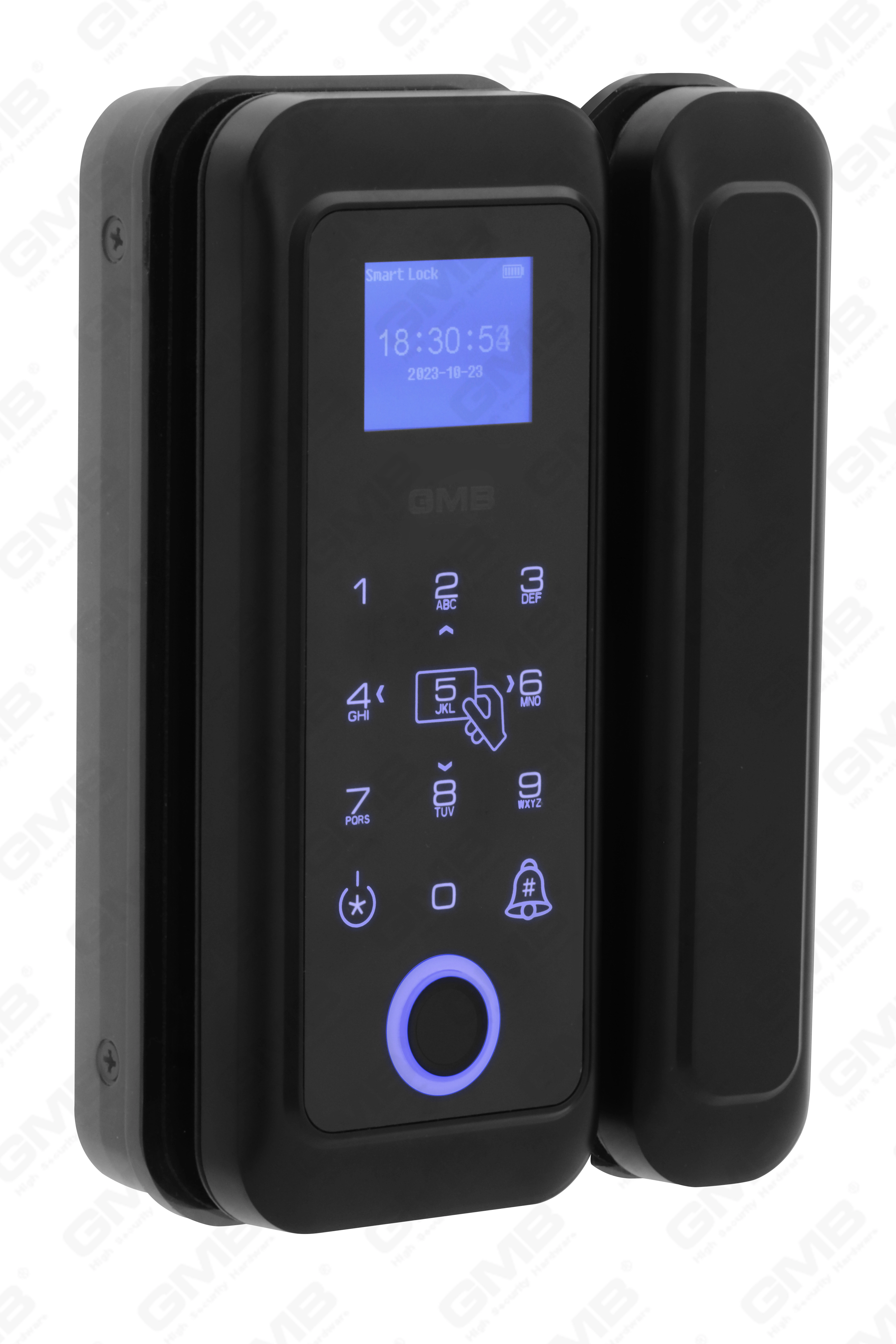 High Security Fingerabdruck/RFID -Karte/WiFi/Tuya/TT App Digital Smart Glass Door Schloss (254)