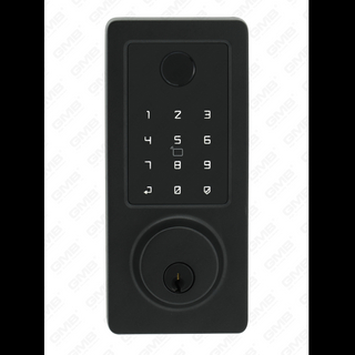 American Standard wasserdichte Keyless -Eintrag Tuya/TT Wireless digitales Passwort Fingerabdruck MF -Karte Smart Door Lock (A015)