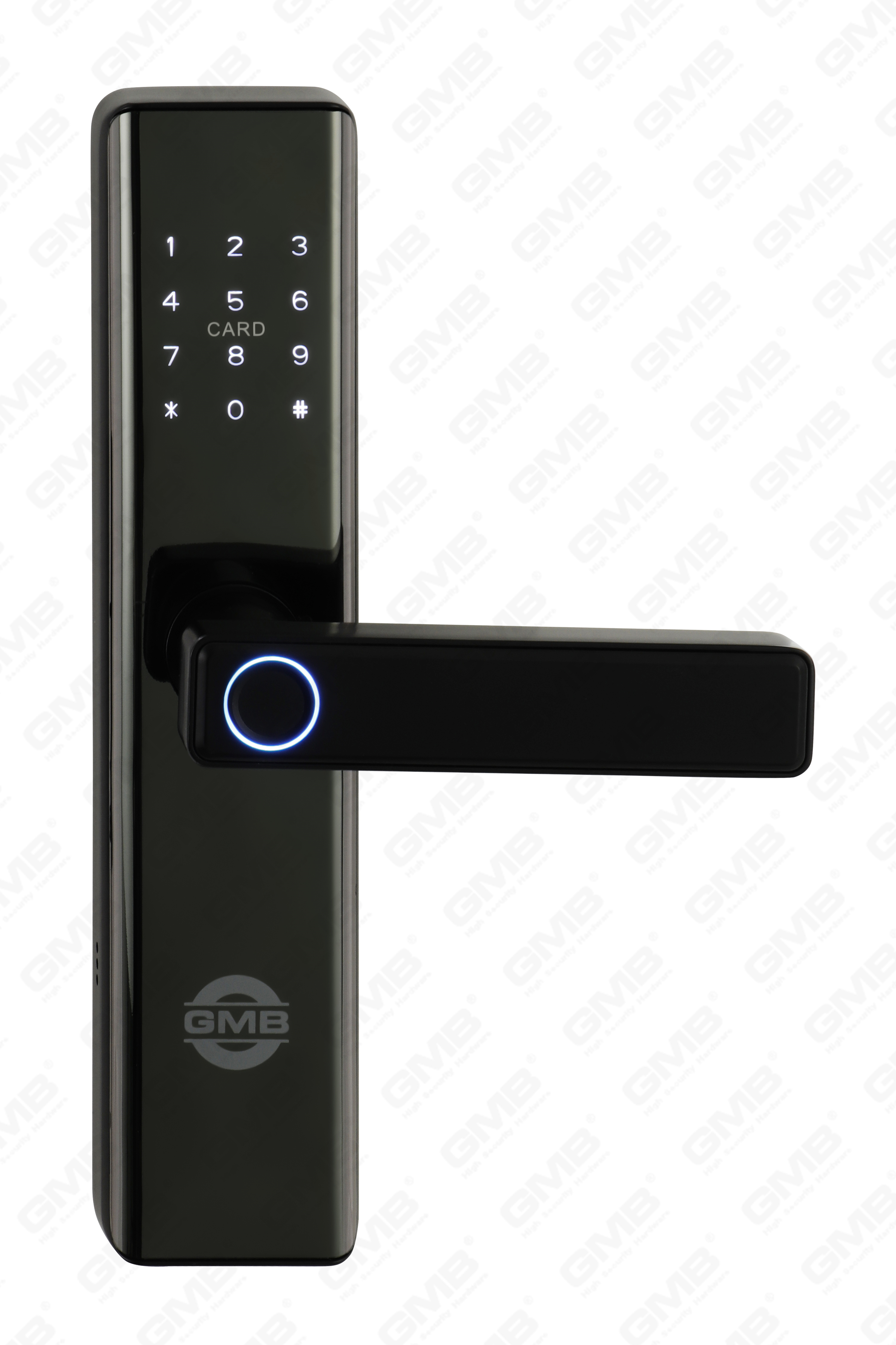 High Security Fingerabdruck/RFID -Karte/WiFi/Tuya/TT App Digital Smart Door Lock (660)