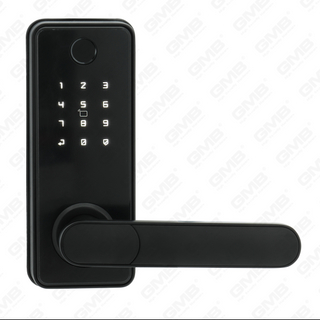 American Standard wasserdichte Keyless -Eintrag Tuya/TT Wireless digitales Passwort Fingerabdruck MF -Karte Smart Door Lock (A012)