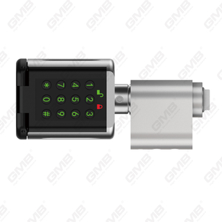 Hochsicherheit Multi-nicht-lockerische Wege IP66 Fingerabdruckkennwort KEYLESS WiFI Digital einstellbares Modular Profil Tuya/TT App Smart Electronic Door Lock Cylinder (5D03)
