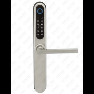 European Standard Water of Water of Keyless Entry TT TT Digitales Kennwort Fingerabdruck MF Karten Smart Door Lock (U049)