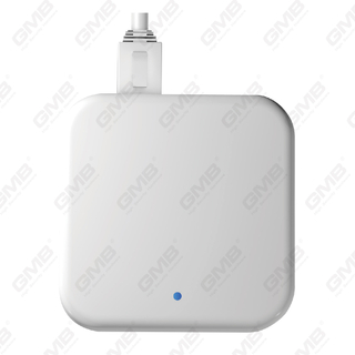 G3P WiFi Ble Poe Ttlock Gateway für Smart Lock und andere TTLOCK -Geräte (G3P)
