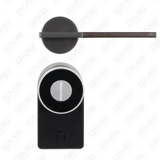 European Keschlart ohne Eintrag TT App Passwort Remote Wireless Digital Smart Door Lock (U009)