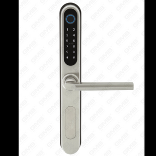 European Standard Water of Water of Wasserdosient Keyless Entry Tuya/TT Wireless digitales Passwort Fingerabdruck MF -Karte NFC Smart Door Lock (U052)