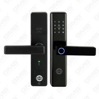 High Security Fingerabdruck/RFID -Karte/WiFi/Tuya/TT App Digital Smart Door Lock (660)