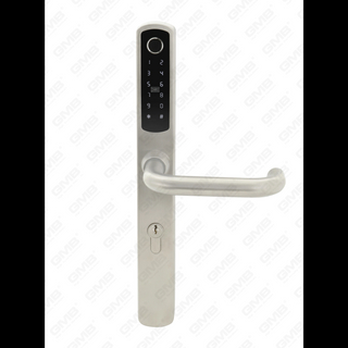 European Standard wasserdichte Keyless -Eintrag TT TT Digitales Kennwort Fingerabdruck MF Karten -Smart Door Lock (U018)