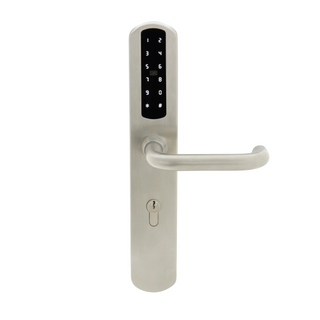 European Standard Water of Water of Keyless Entry TT Wireless Digital Passwort MF Card Smart Door Lock (U020)